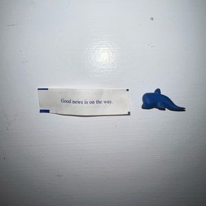 please give me a good home!! clay dolphin baby